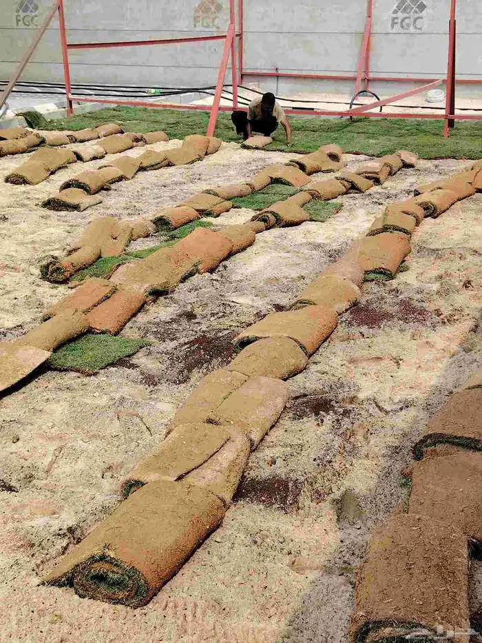 تنسيق حدائق 2