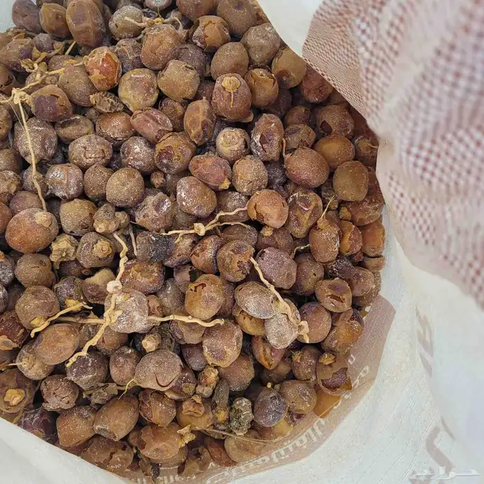 تمر علف للغنم والبل   تم البيع 2