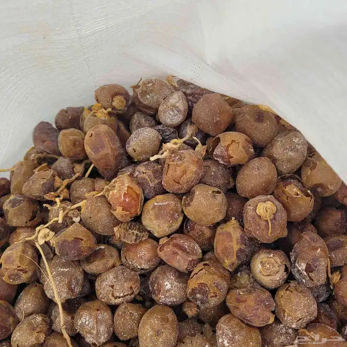 تمر علف للغنم والبل   تم البيع 3