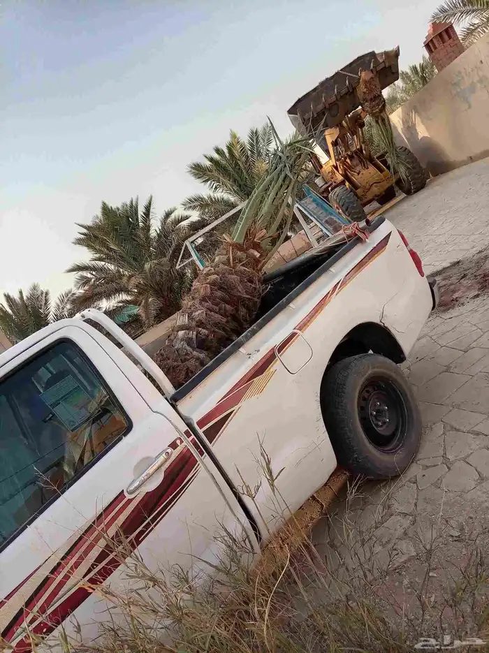 نخل للبيع ع الطلب من هوى ولا شف 2