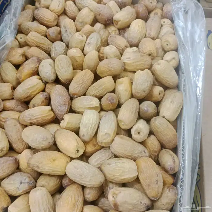 نخال من الدرجه الاولى 2