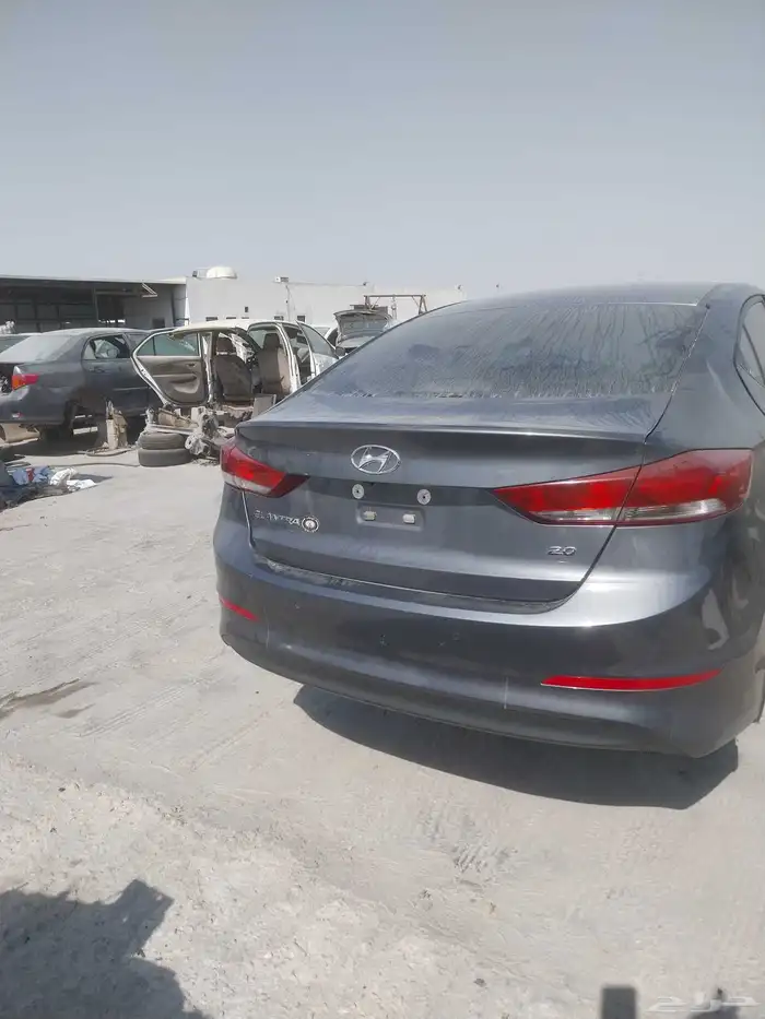 لدينا النتر مديل 2018 2