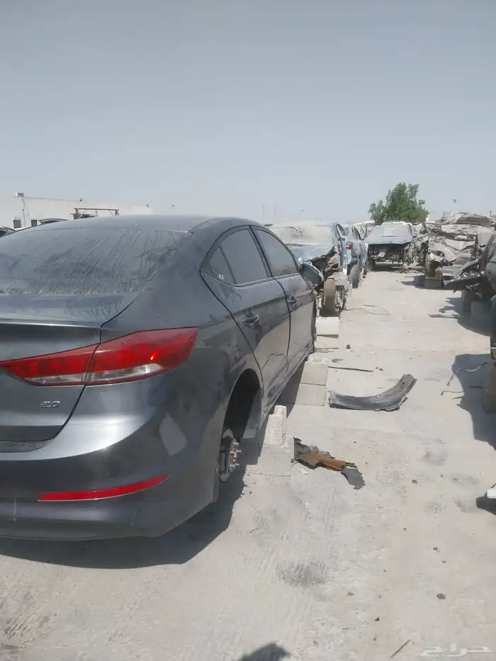 لدينا النتر مديل 2018 1