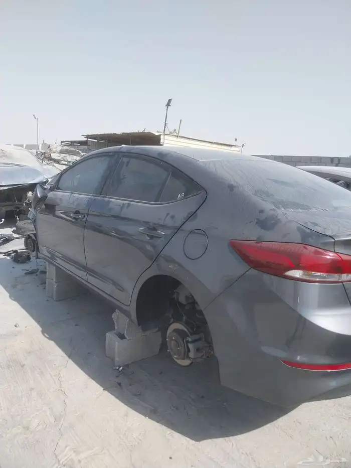 لدينا النتر مديل 2018 0