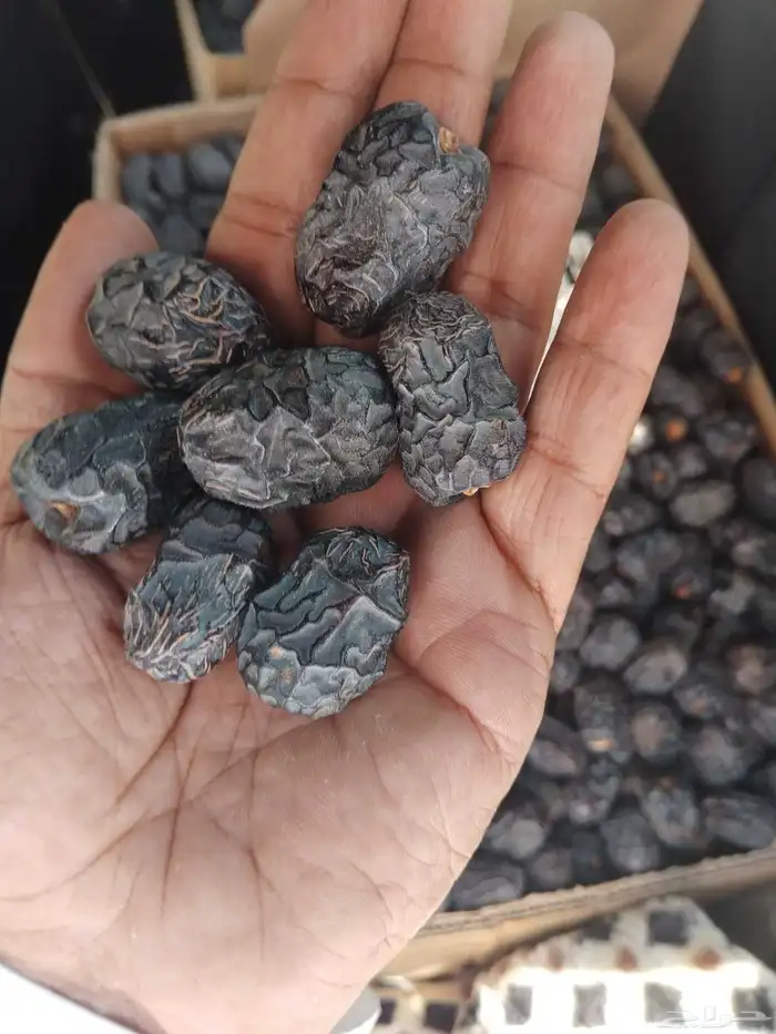 تمر عجوه 2