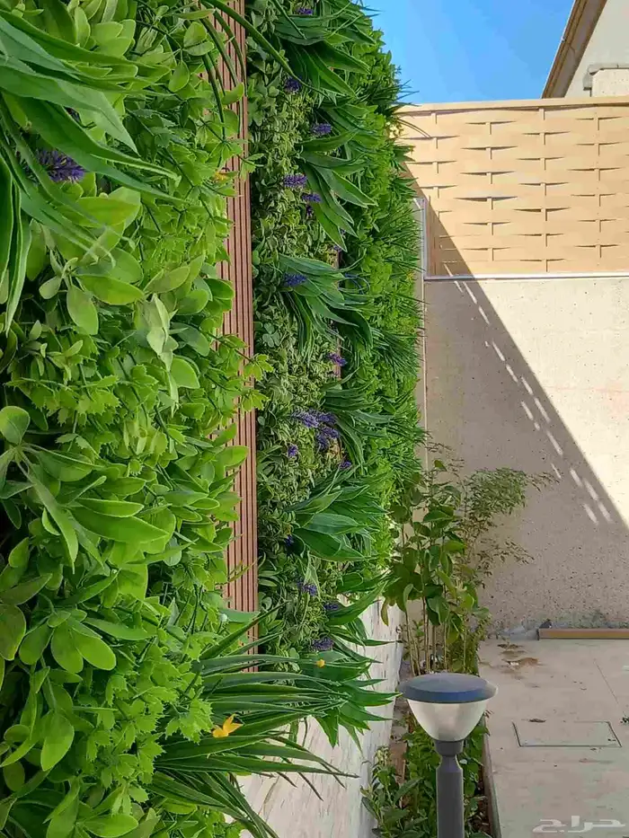 تنسيق الحدائق العامه والخاصه 3