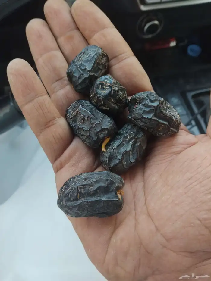تمر عجوه 0