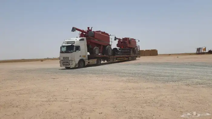 القصيم بريدة 4