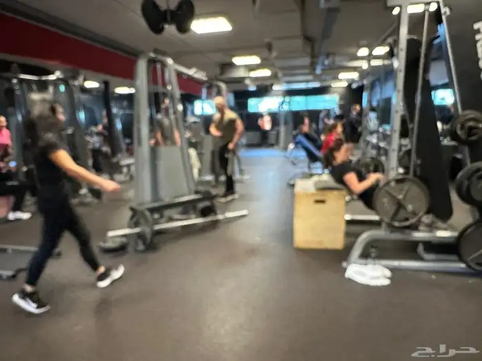 مجموعه أمريكي للبيع كامله 16