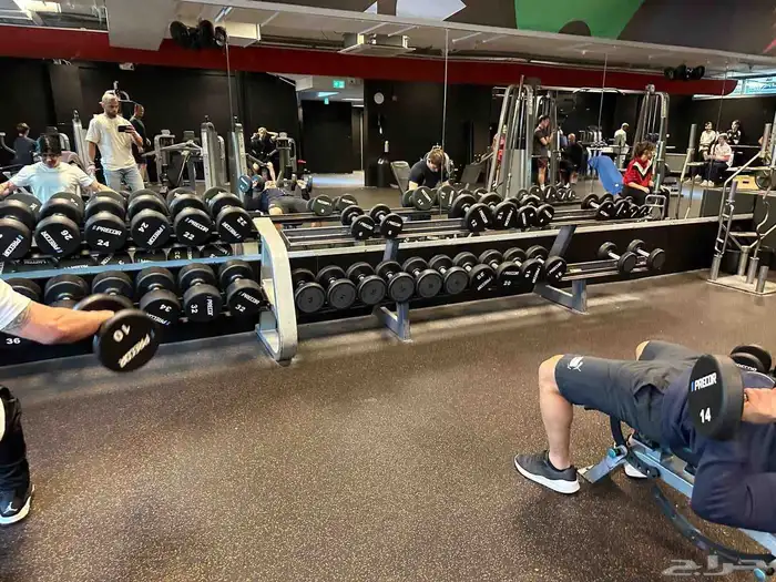 مجموعه أمريكي للبيع كامله 11