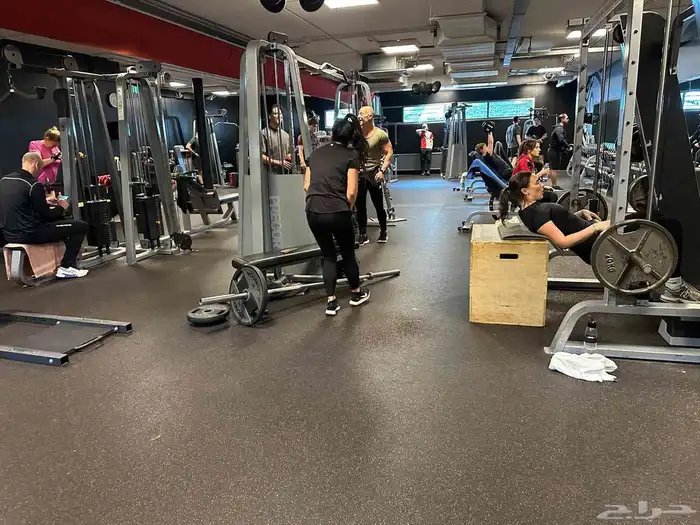 مجموعه أمريكي للبيع كامله 17