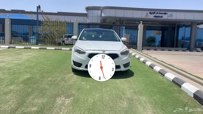 كادنزا 2015 1