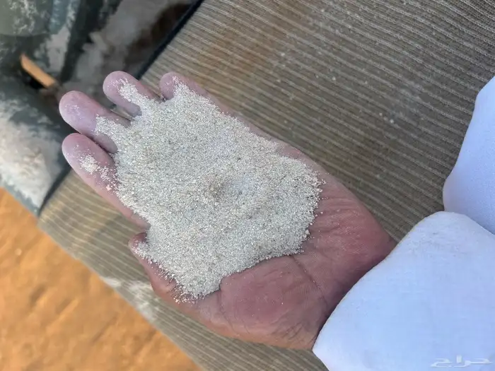 رمل ليأسه   رمل نفود شقراء 0