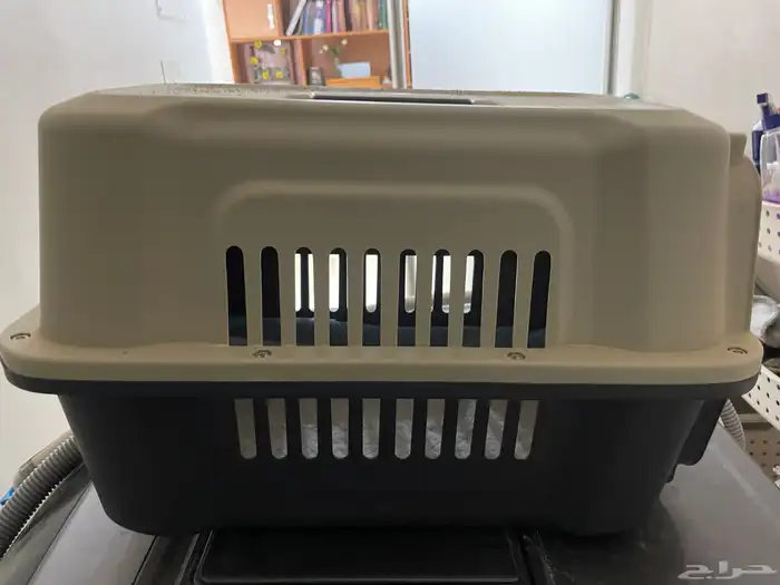 قطط 2