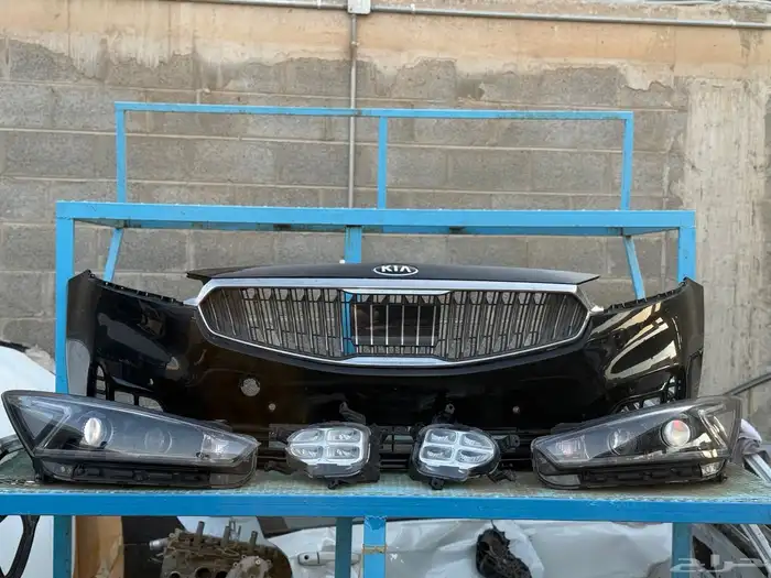 كادينزا 2017-2018 0