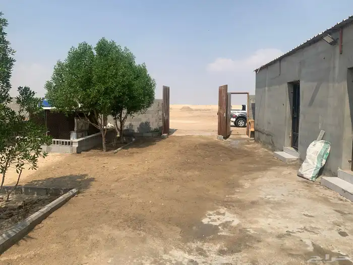 حوش غنم الحظائر الجديد شمال سوق الدمام 1