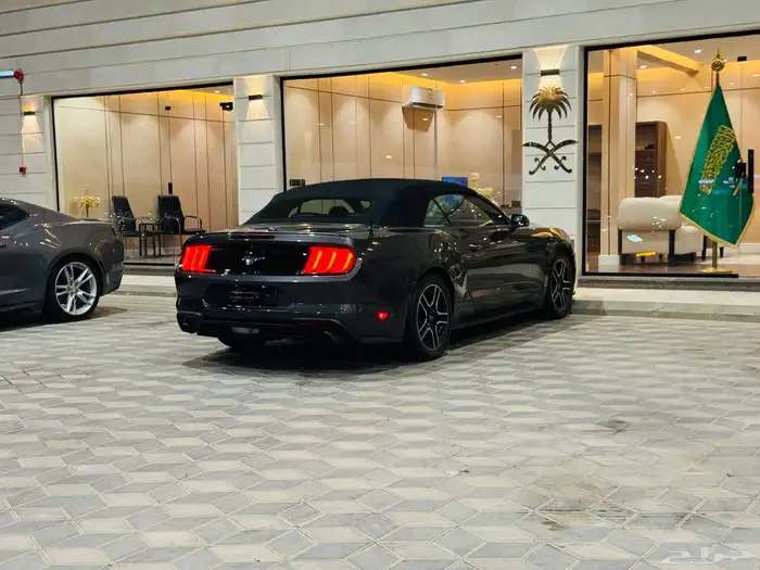 موستنج كشف نظيف جدا 5