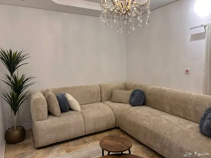 كنب محمود سعيد جديد 4