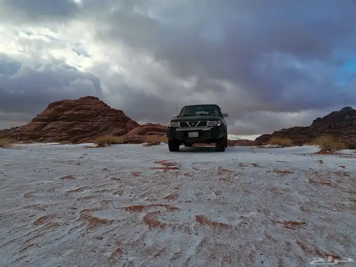 باترول سفاري قير عادي 23