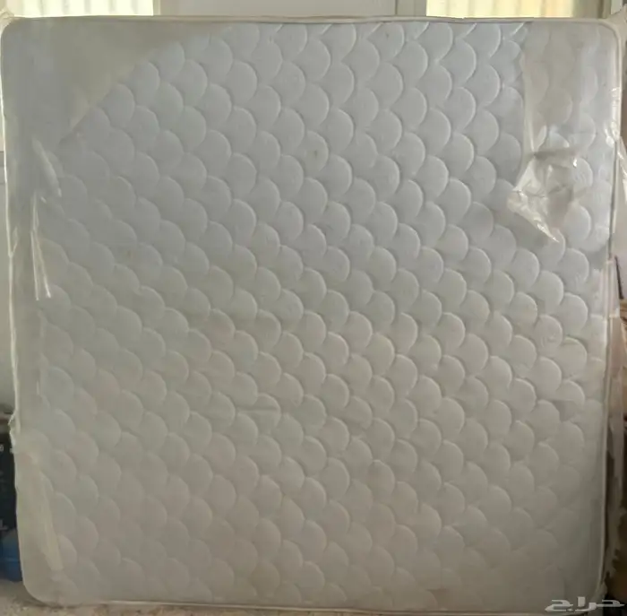 سفنج القفاري 0