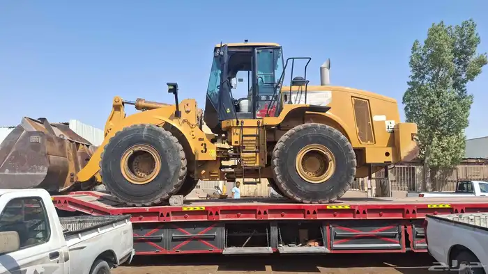لوبد متواجد في رفحا حفر الباطن الشعبه صداوي نعيريه 8