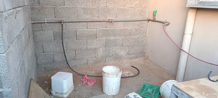 للإيجار حوش مجهز للدواجن 3