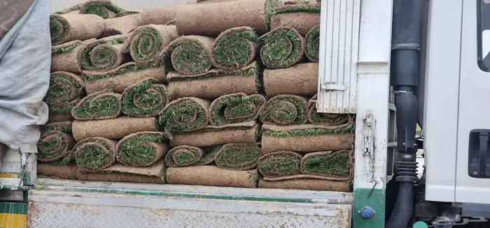 ثيل طبيعي انجيله 6