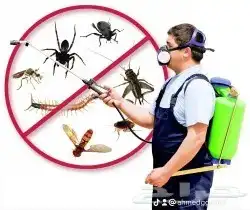 شركة مكافحة حشرات صراصير فئران بق النمل الابيض 1
