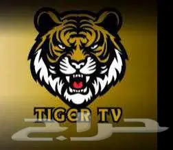 Iptv اشتراكات كأس العالم افضل الاسعار فالكون وهولك 8