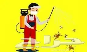 شركة مكافحة حشرات صراصير فئران بق النمل الابيض 2