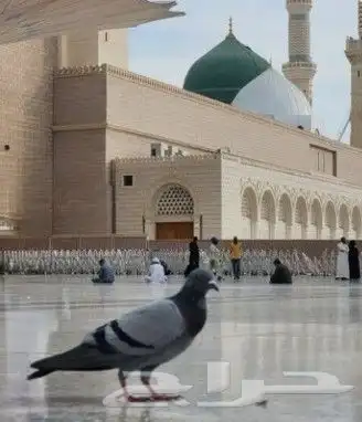 مطلوب منكم خدمة 0