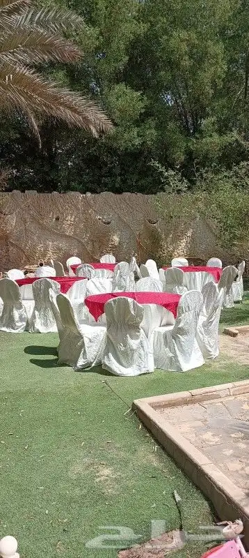 تاجير كنب في اي بي كراسي طاولات طعام خشب وقزاز 4