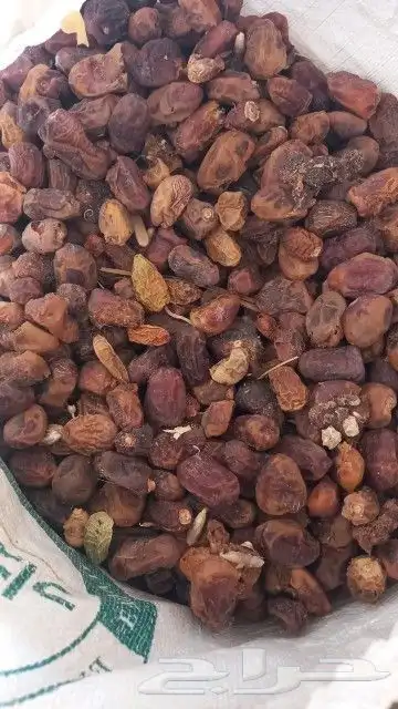 تمر ناشف للبيع 1