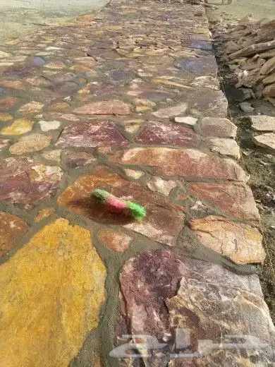 معلم ربراب تلبيس حجر تنومه حجر بن لسمر 2