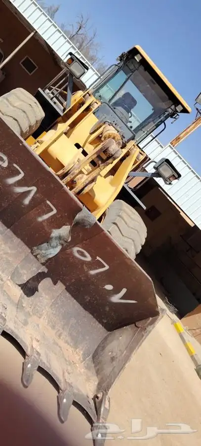 شيول شنتاو 2013 3