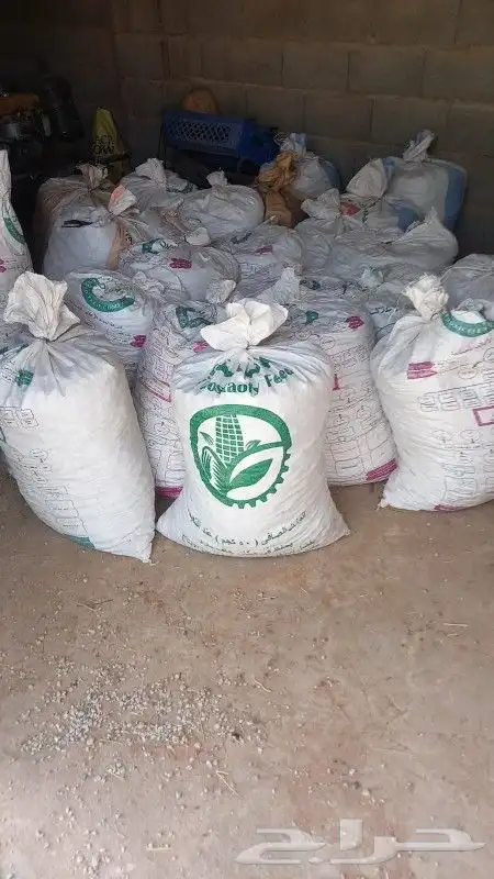 تمر ناشف للبيع 2