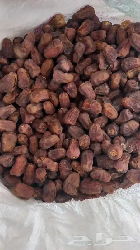 تمر ناشف للبيع 0