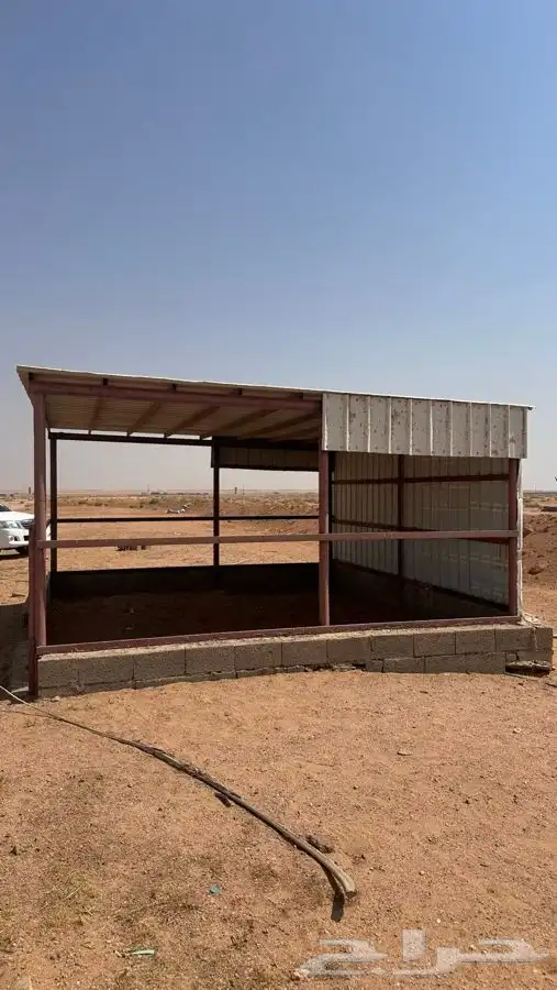 مضله شينكو بادوك 1