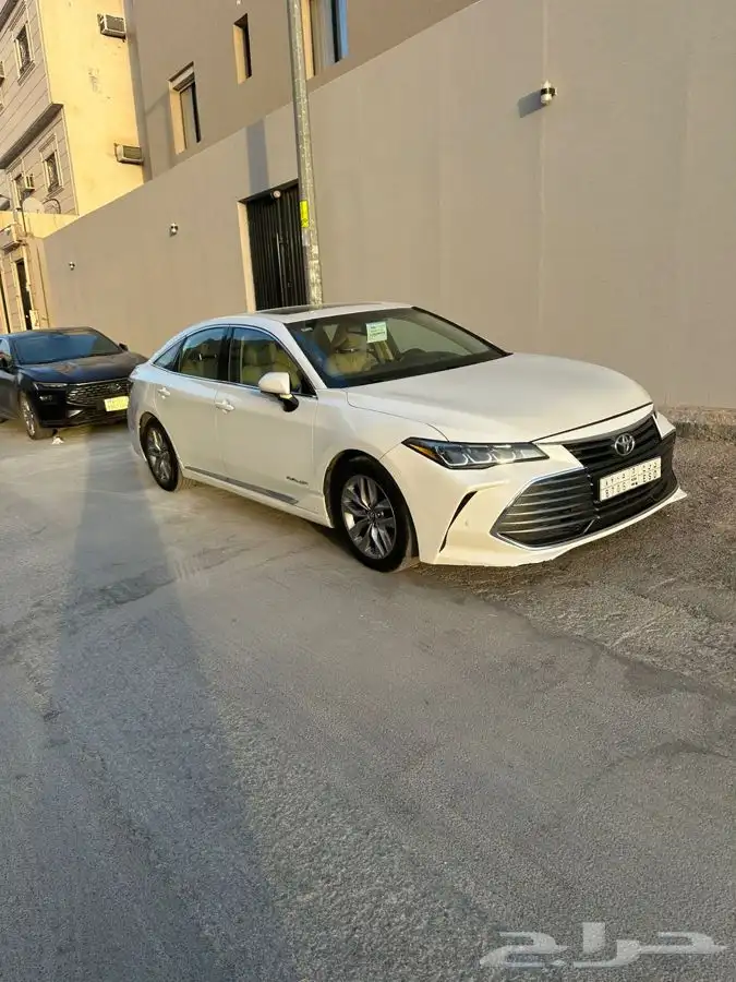 افيلون 2019 0