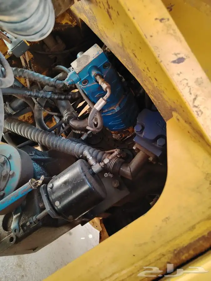 شيول شنتاو 2013 2