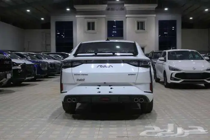 دونج فينج 3