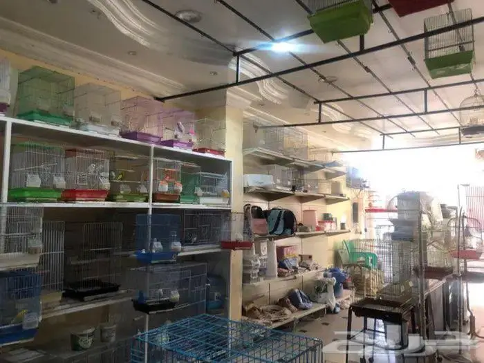 مستلزمات حيوانات 0