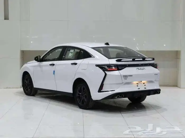دونج فينج شاين 2025 E1 مع عازل حراري مجانا 4