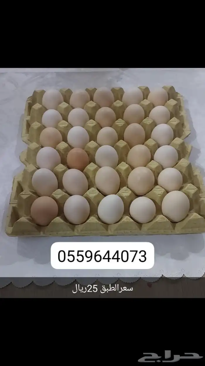 بيض بلدي 25ريال الطبق 1