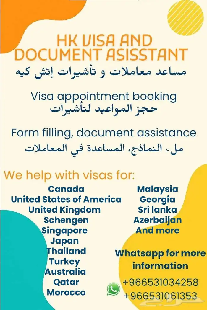 Visa Services 0