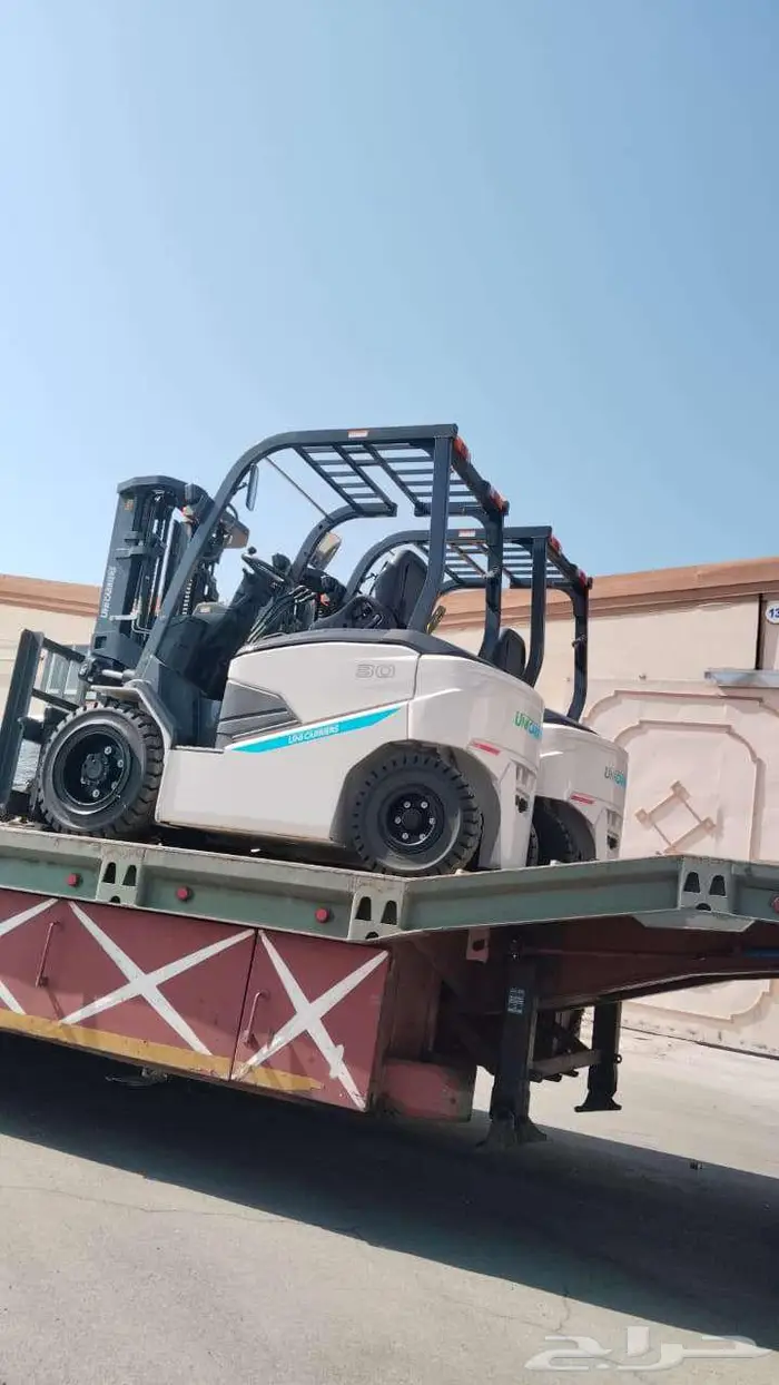 Electric and diesel cranes and forklifts for rent 10