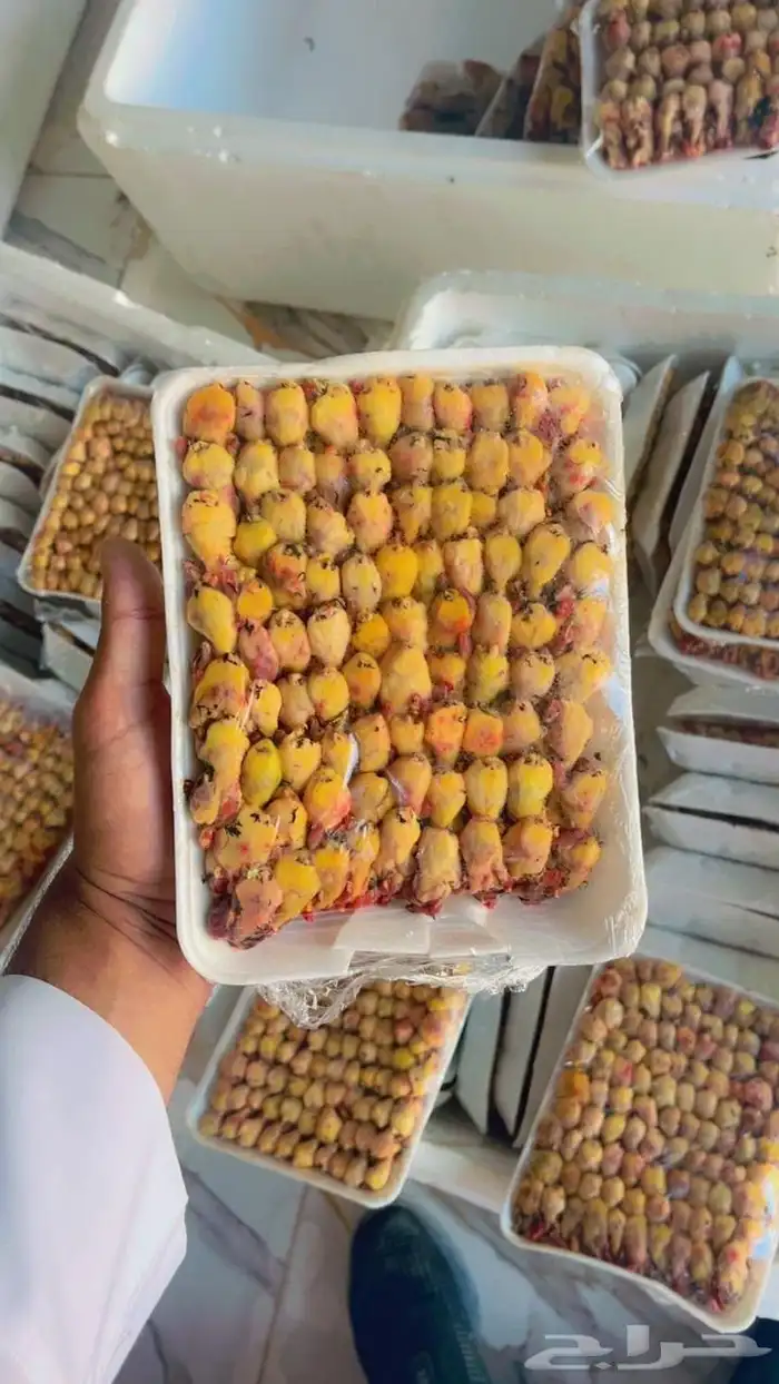 طيور الدخل الشحم الذهبي طازج 0