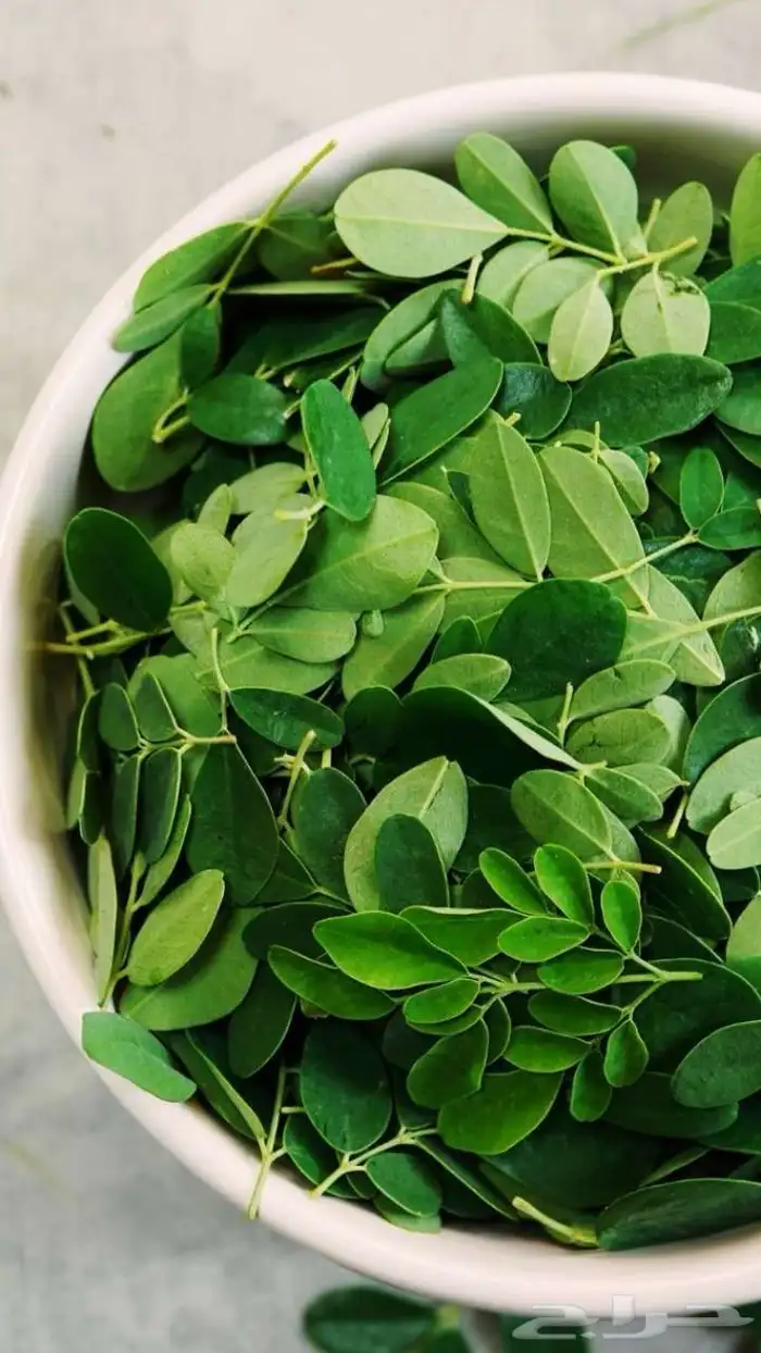 مورينج هندي طبيعي 1