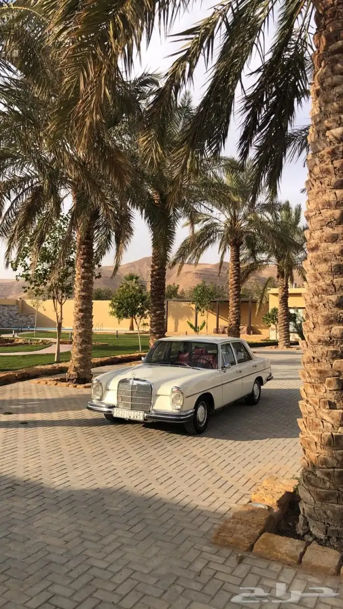 مرسيدس كلاسيك موديل 1970 أوروبي 8