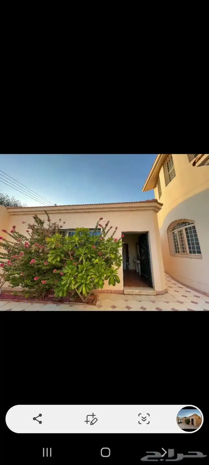 حايل حي انقره 2